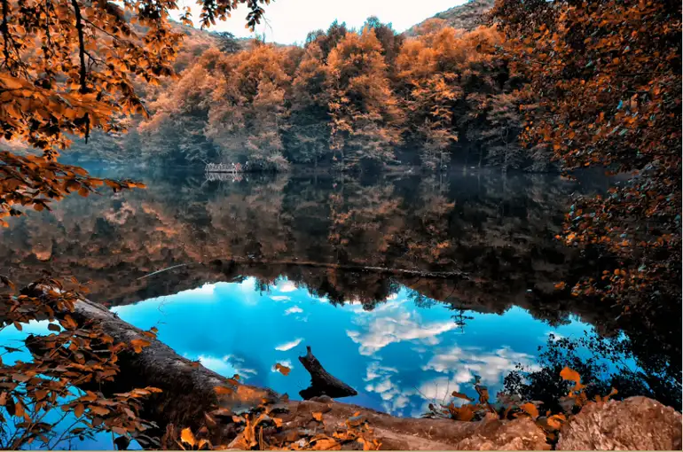 565d69b218c7736fb89be009.webp