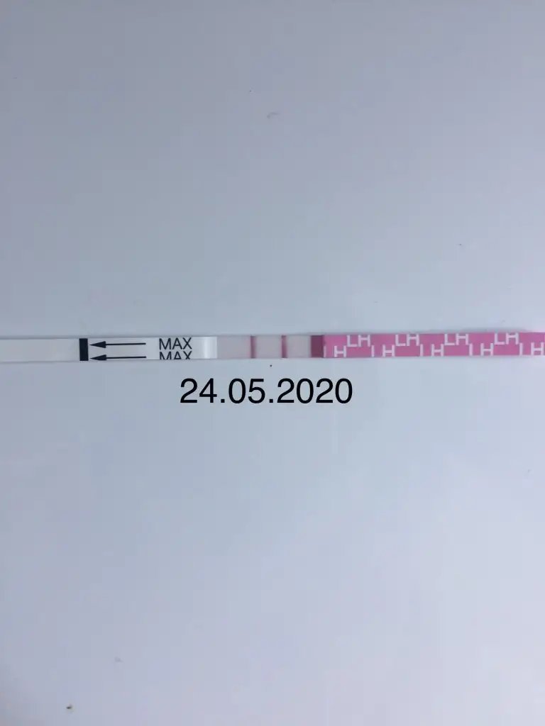 57017274-923F-4B6D-AA91-BE658B799F6B.webp