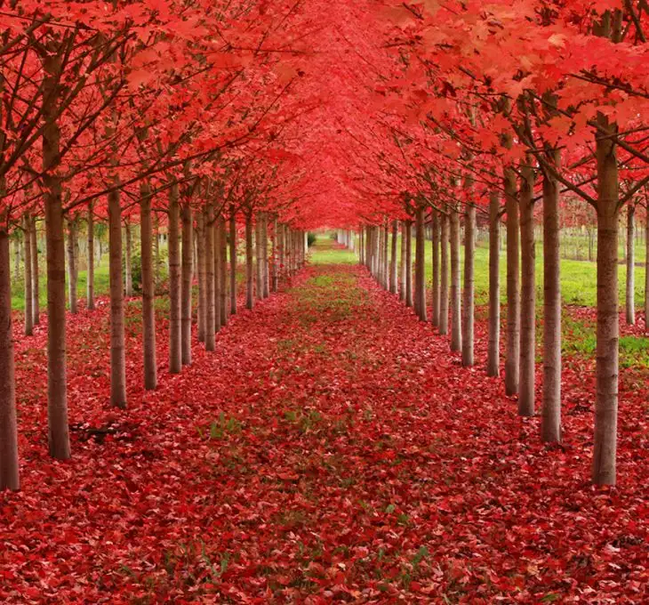 5792ec4382.webp