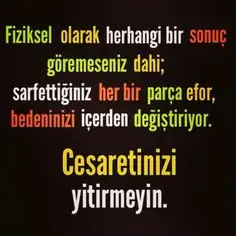 57e7124e7e4ea7122206f0d769fd43da.webp