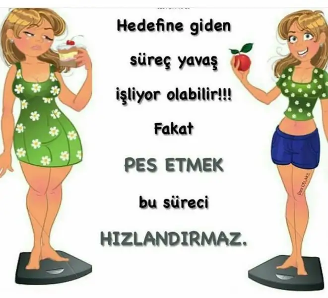 58caa58fada6b233ec8b8f46697d0a8d.webp