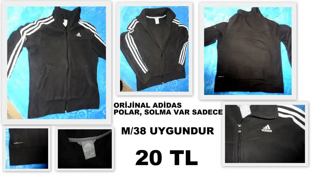 59.webp