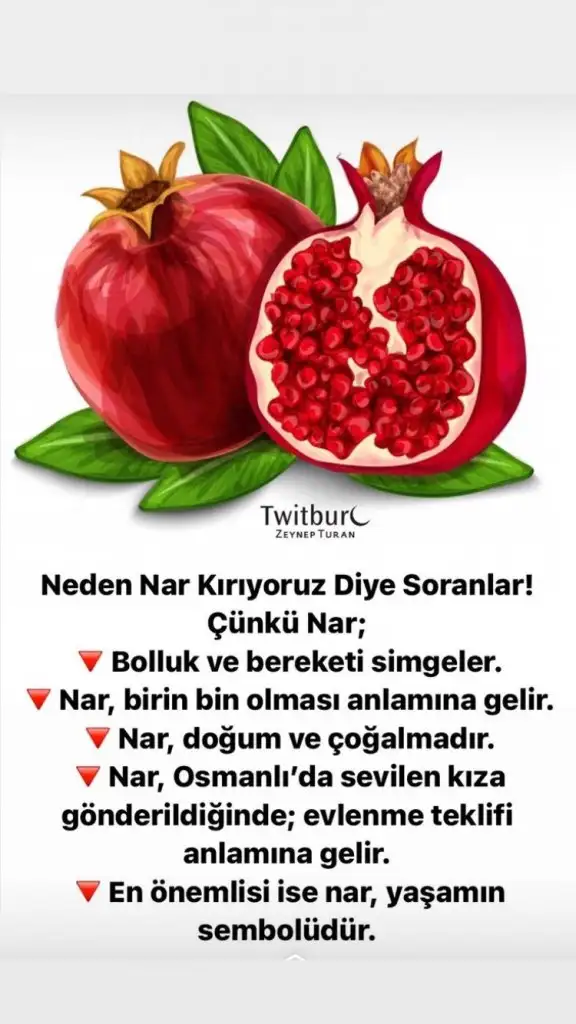 590A539F-E05F-4B4B-B651-AA2A6B46BD71.webp