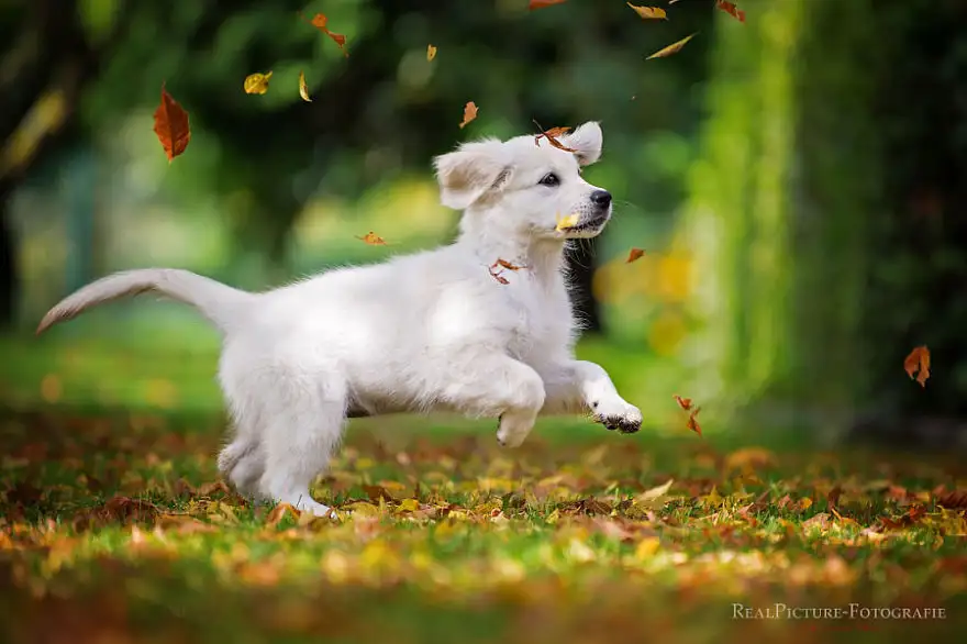 59358e7794ff09f9b78ebc681f2f7eb4__880.webp