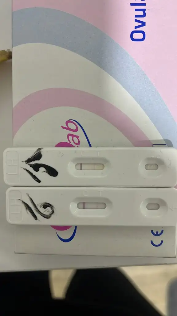 597D204A-96FD-43E2-B19B-B40352011F0D.webp