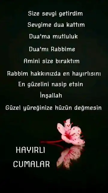 59e3d885fc7aaf0c89c08cb8ae62d66a.webp