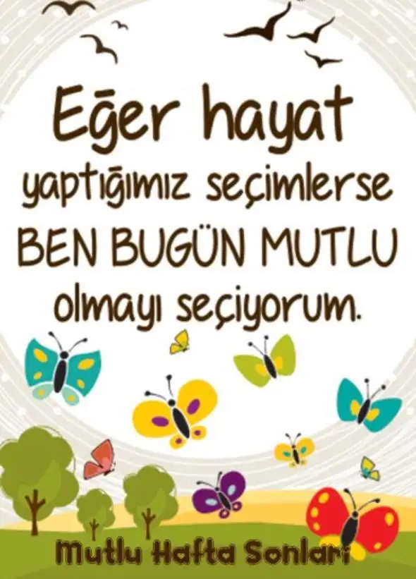 5aabd2a27af5071cb4c68600.webp