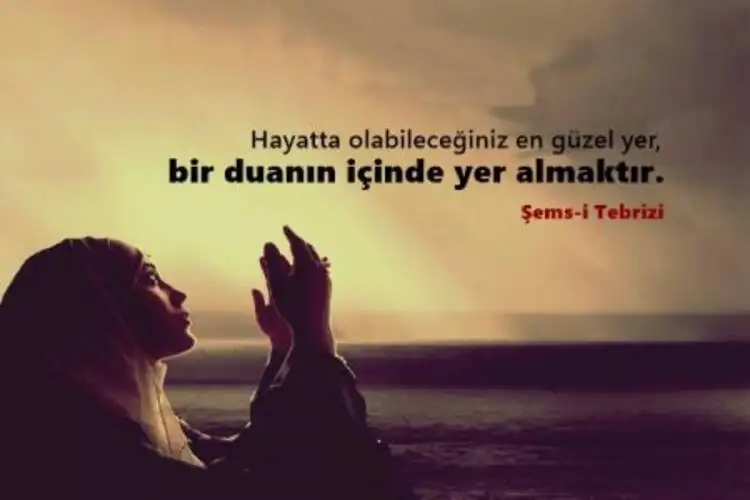5ac21fa8c03c0e1a40809262.webp