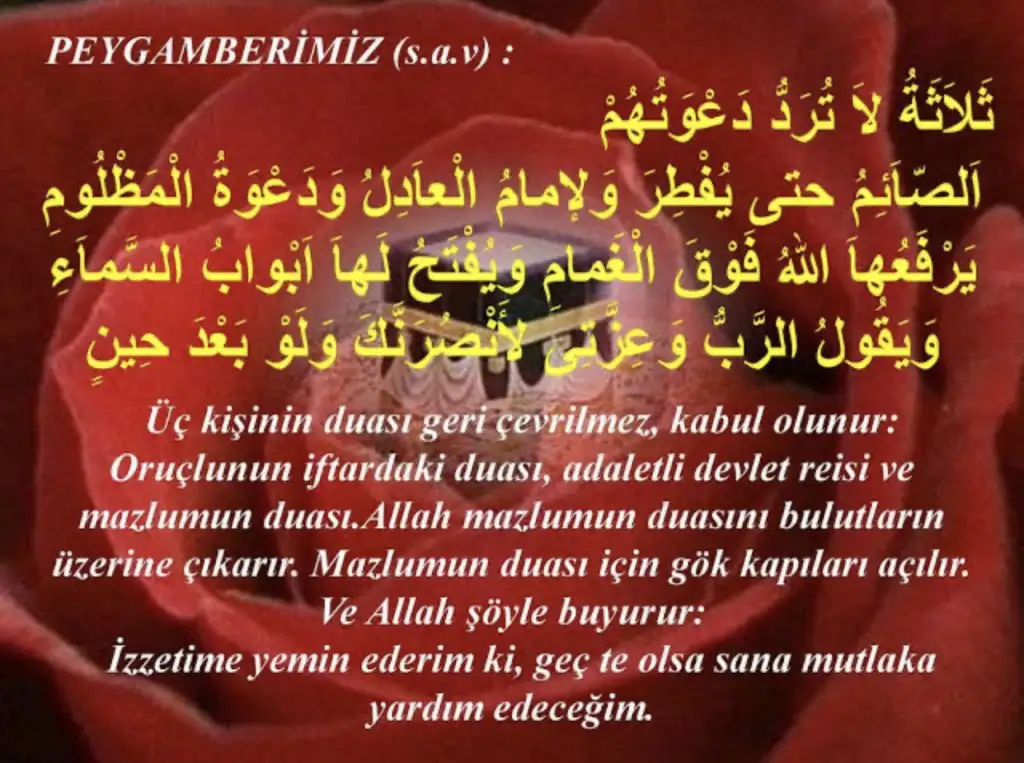 5C12A49F-5970-4B93-904B-573C86320E04.webp