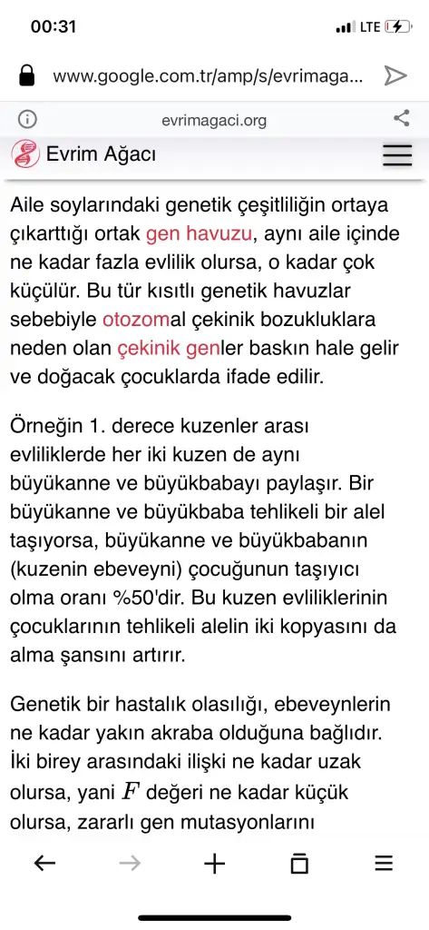 5D10E9A5-4A60-4D6A-8211-02F44301C8F9.webp