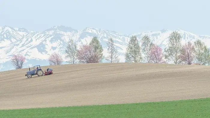 5d1f2652c73d4528bdac663a561f1237.jpg.700x0_q85_autocrop_crop-smart_upscale.webp