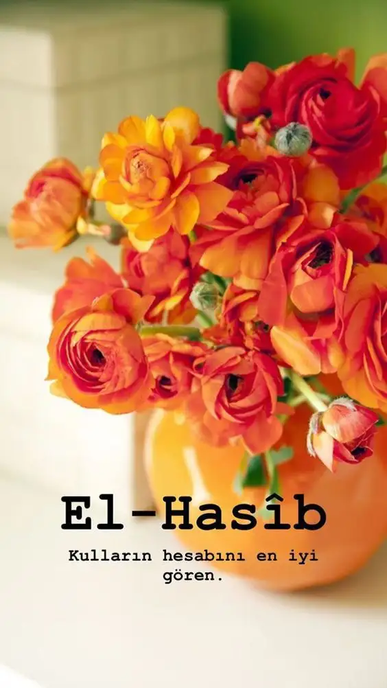 5db7788ec17c5763febe5e7c3ae029c4.webp