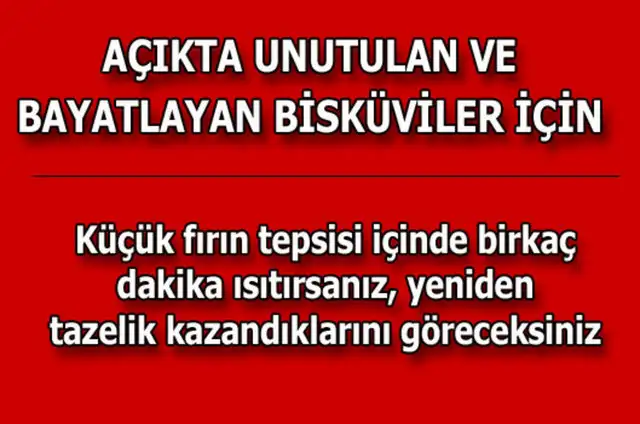5e845f5cf3ffb15c9792f9a1c6691a84_k.webp