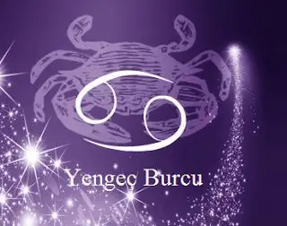 5eb825ac33db3cbd6488873f2209bc1a.webp