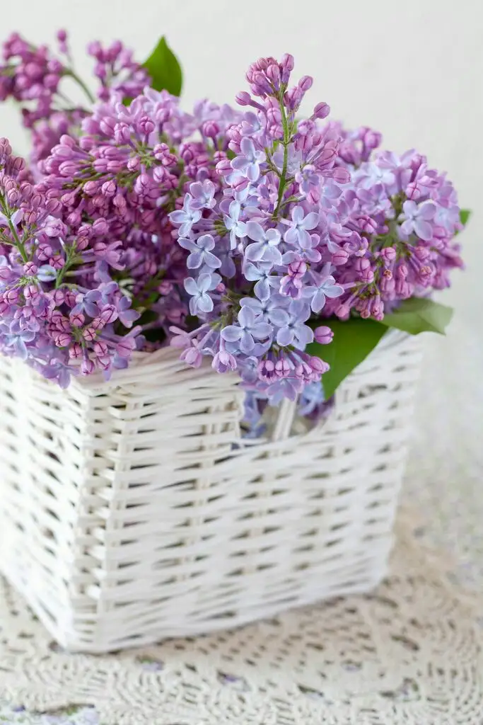 5f6785bc457027ac036d98da46d070c8.webp