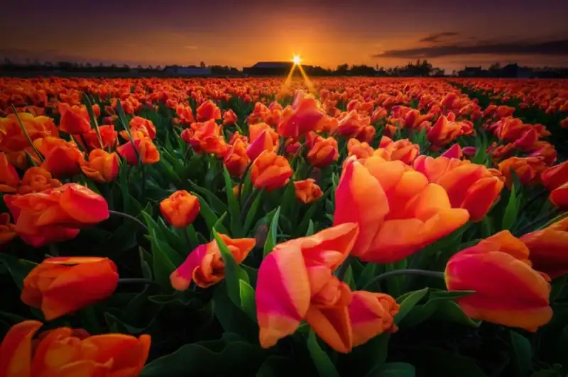 5fa10f2a309b463bba0779bcc8a92ce4.jpg.1000x0_q85_autocrop_crop-smart_upscale.webp