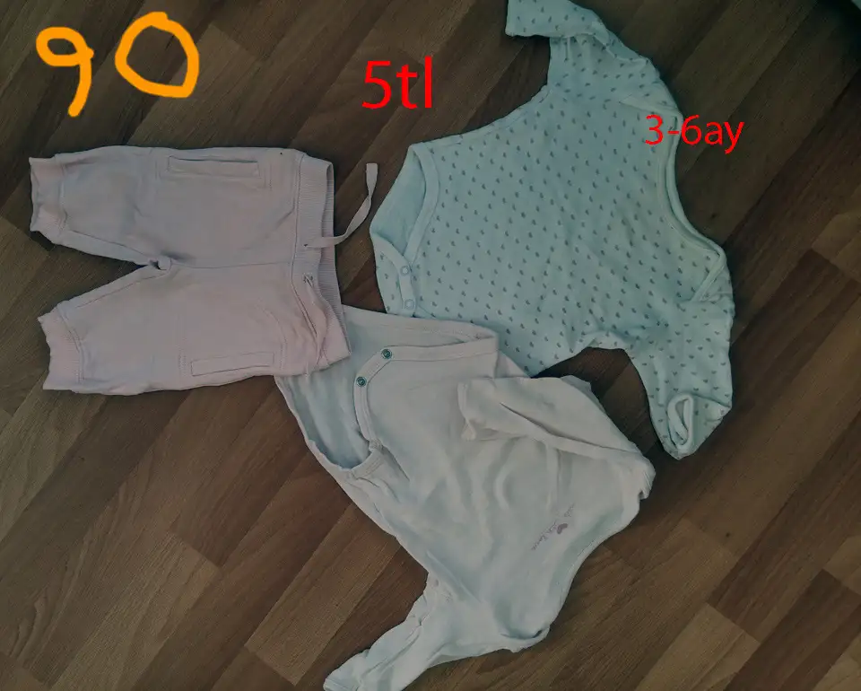 5tl 3-6 (1) copy.webp