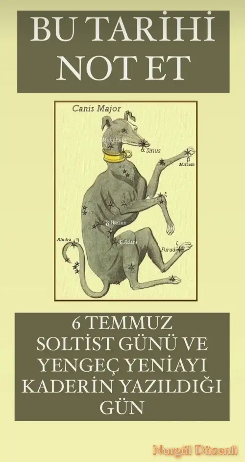 6 temm (1).webp