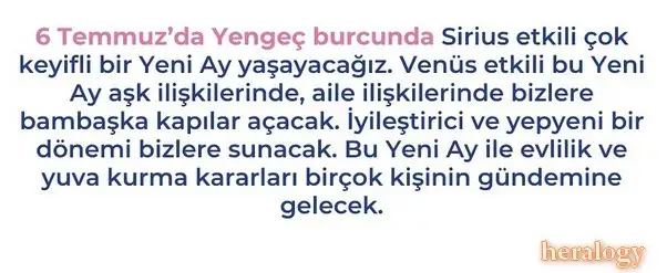 6 temus.webp