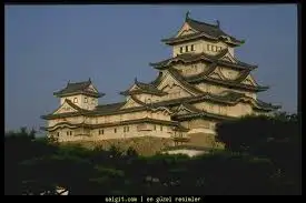 6.webp