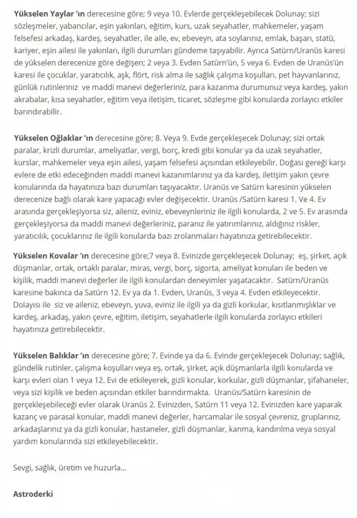 6.webp