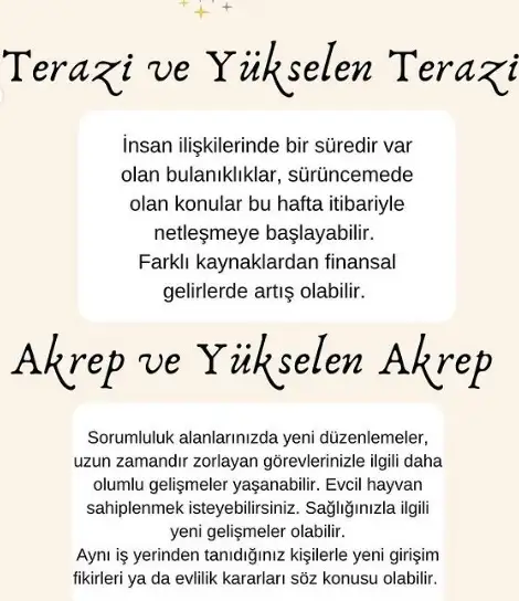 6.webp