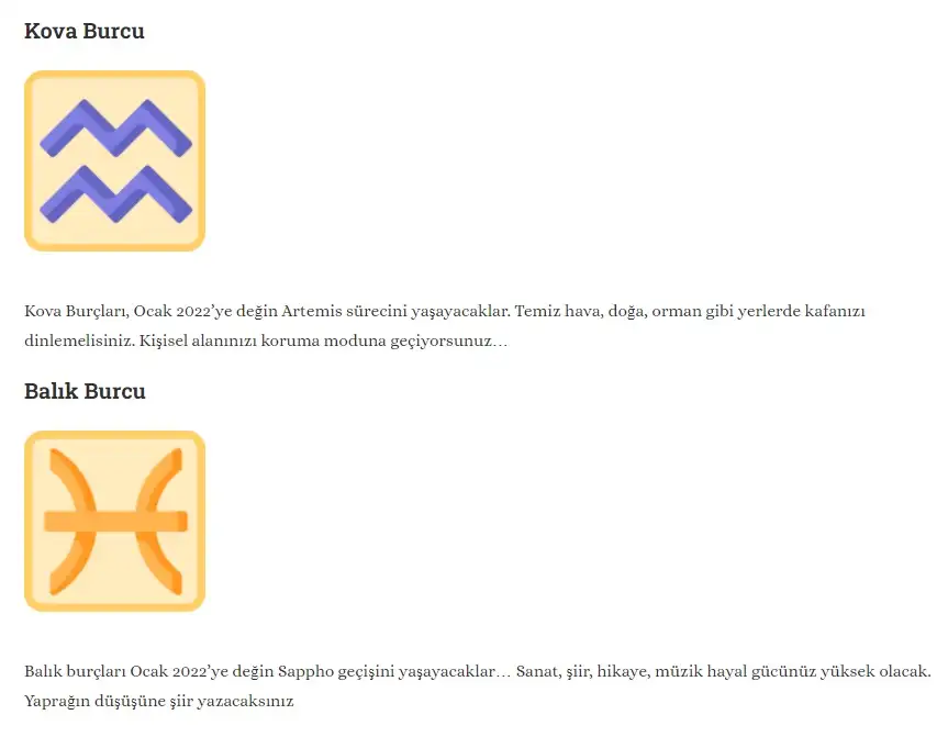 6.webp