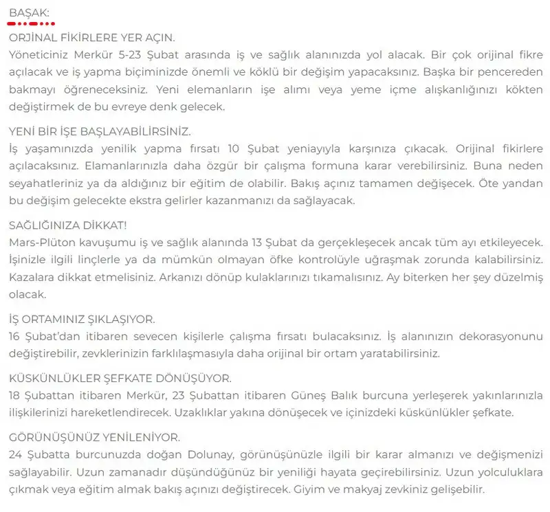 6.webp