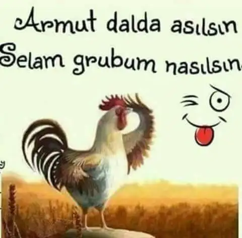 60aa55bd9c1ccab6ba679a6ae9f5ec1f.jpg