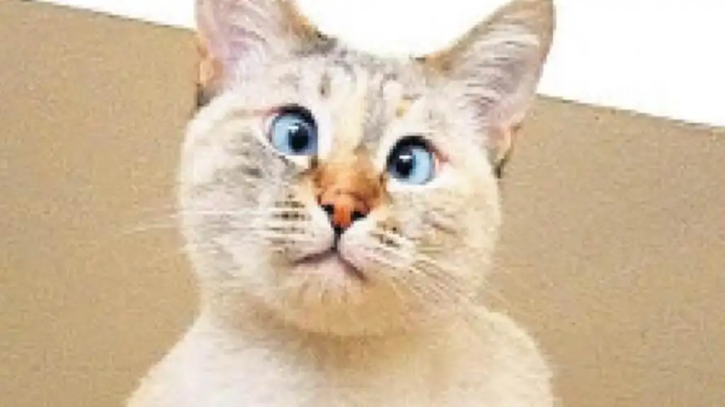 60c75ee39321513c185ff5c1 (1).webp