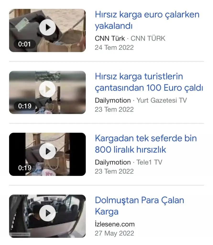 60D1E4D8-4312-4DE4-BCF0-0501542493D9.webp