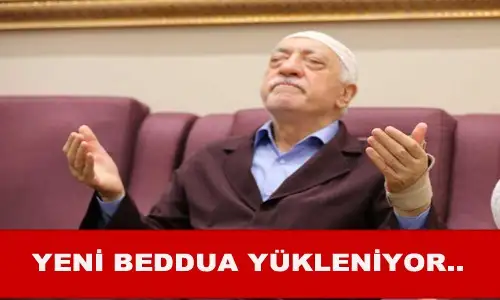 61.webp