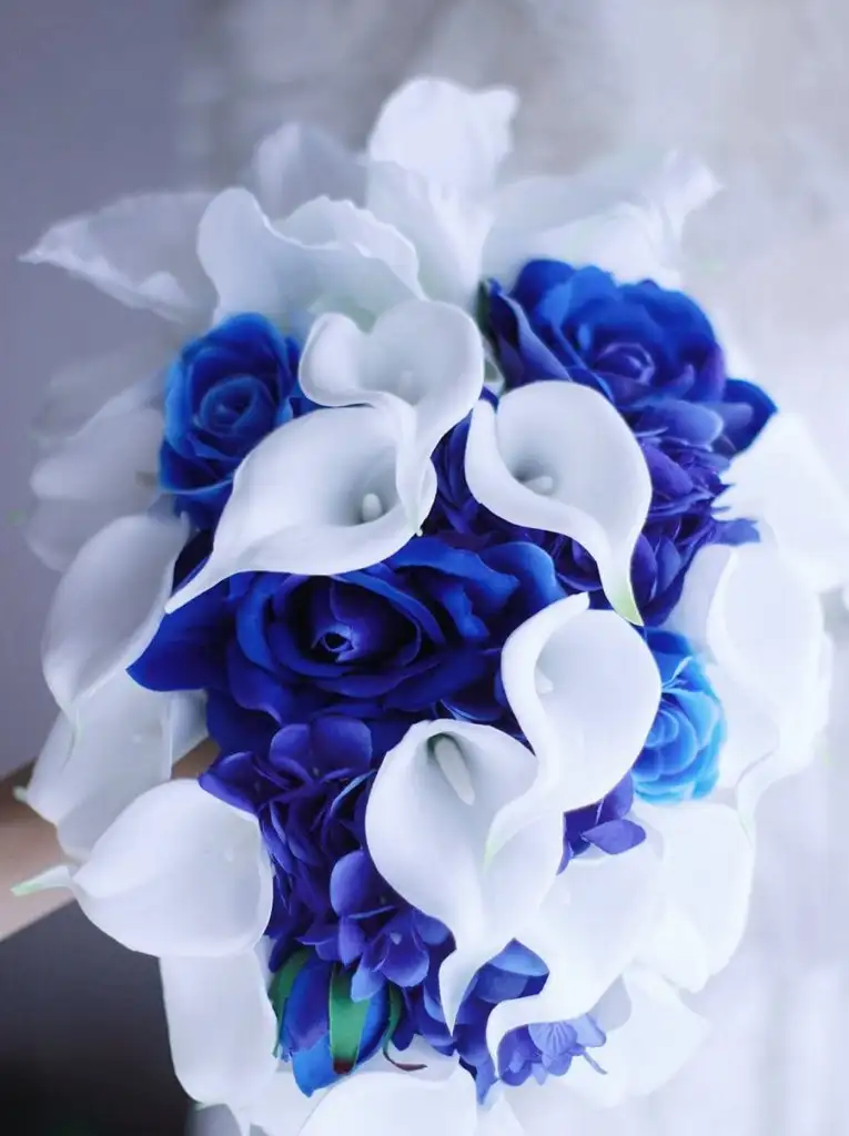 617BeJMtNsL._AC_SL1206_.webp