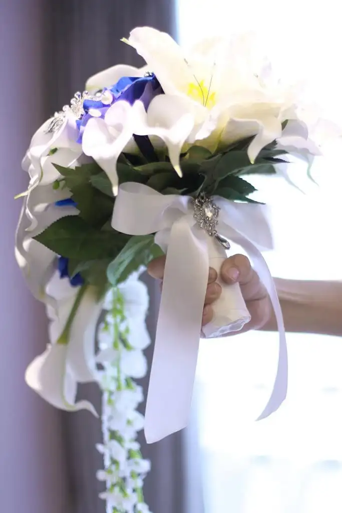 619ph9FgzWL._AC_SL1350_.webp