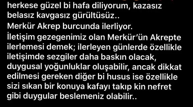 61EA2728-5D44-4D10-92E0-E35975E70085.webp