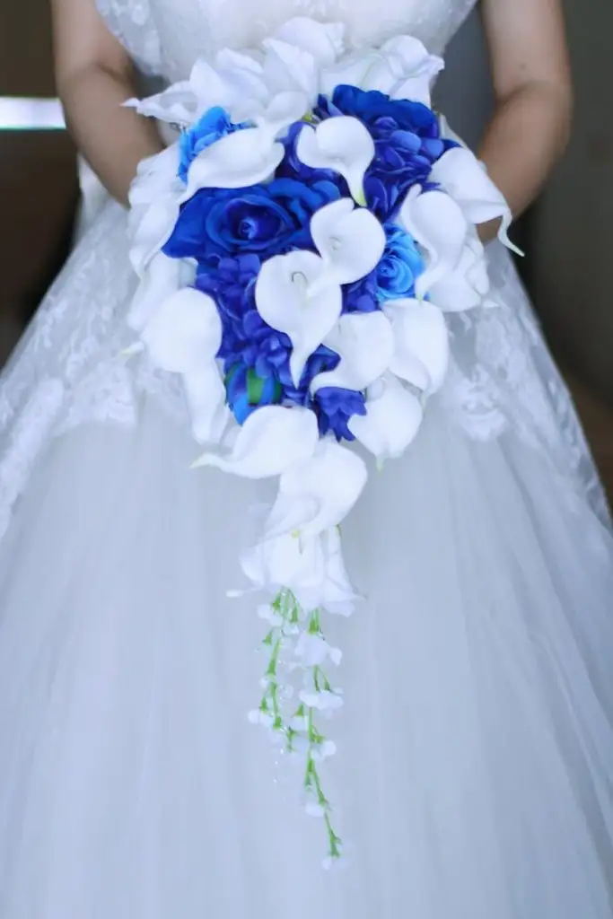 61tWIQp5lqL._AC_SL1350_ (1).webp