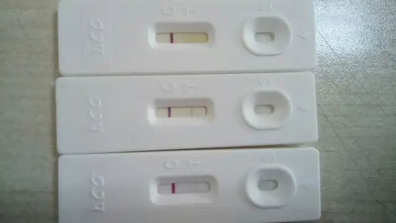 62431a66-8017-4f1c-8776-30bc3f6ddd5d.webp