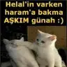 628147.webp