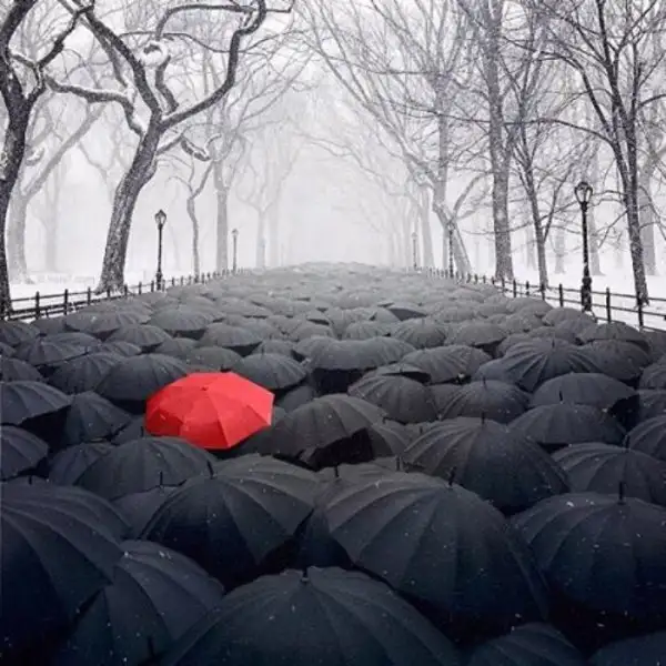 632125c23ac8462d9c6d4d728d712ded.jpg.700x0_q85_autocrop_crop-smart_upscale.webp