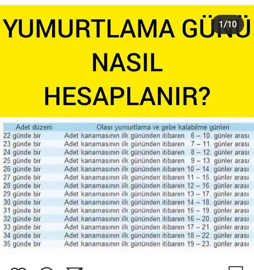 63A95DFB-CB56-455D-B625-8D97B85D5720.webp