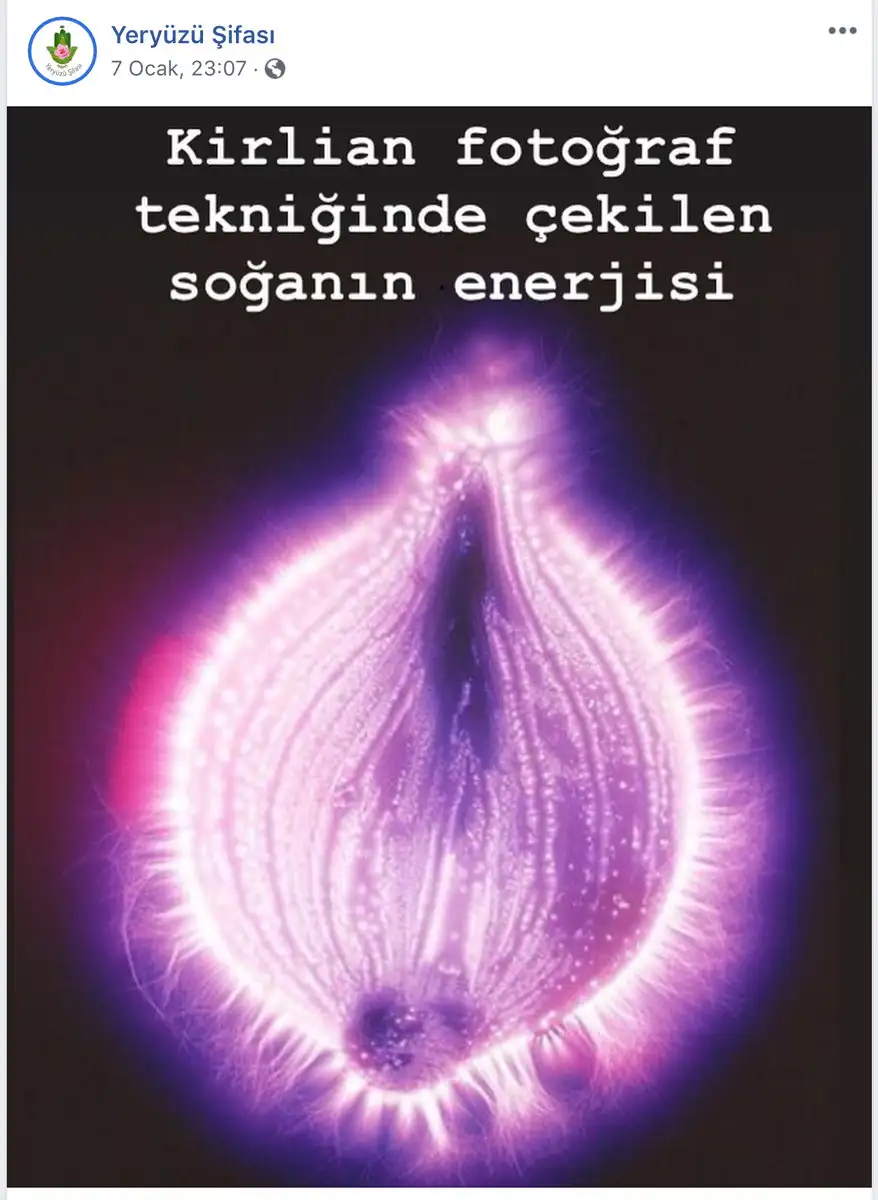 6443A50D-BA8B-404B-8CE9-98FD58612EF6.webp
