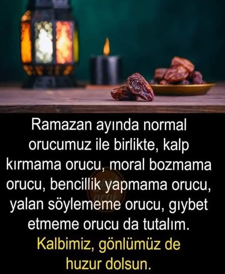 644cc8be19ec2aa4b8f8175a6fdb924a.webp