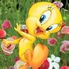 65.webp