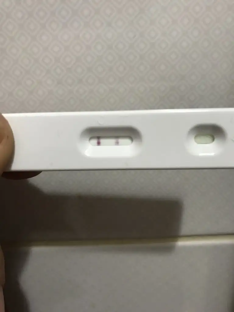 65D93AA5-B1EC-443F-A344-B94284661AC4.webp