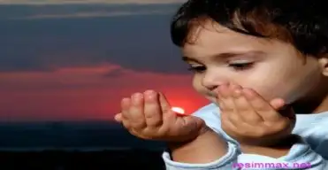 660801.webp