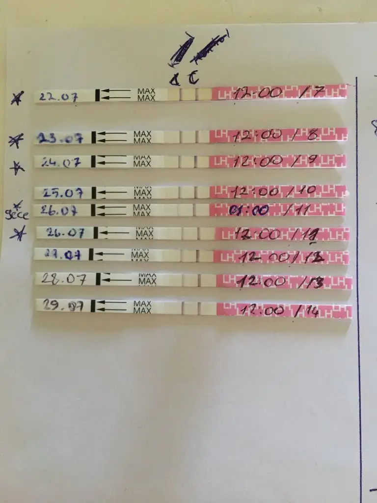 67DBDE83-F3AE-4301-A7D0-D5F049070EAA.webp