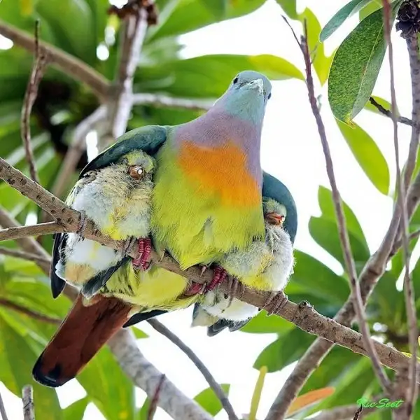 694559e381044074873349e3f375b4f0.jpg.700x0_q85_autocrop_crop-smart_upscale.webp