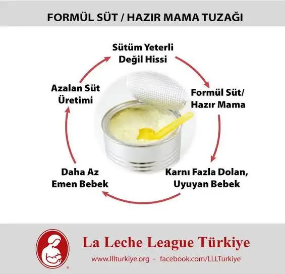 6A5B7861-FC3B-4D12-81BF-CA8BDC9320F0.webp