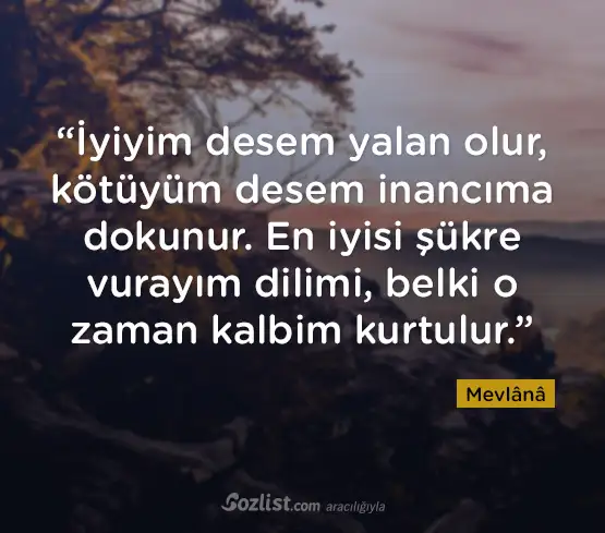 6ad20ebe03b659ffb4587c9b19ae357b.webp