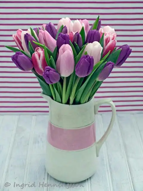 6b51220c6e3aedd8f4b4bfe4c44f4f77.webp